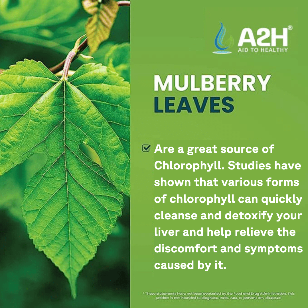 GFOUK™ Detox & Liver Care Chlorophyll Liquid Drops