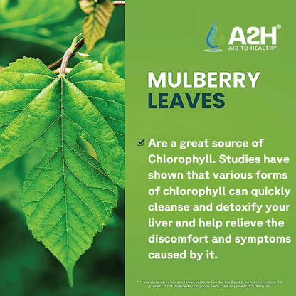 GFOUK™ Detox & Liver Care Chlorophyll Liquid Drops